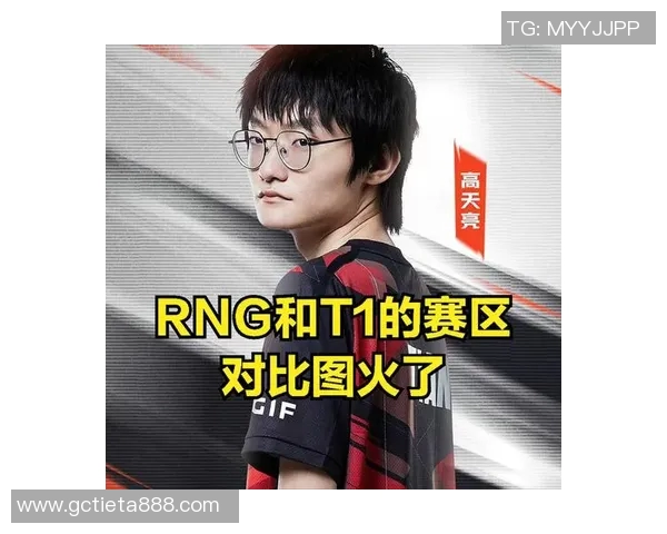 TES战队速度表现深度分析与数据解读